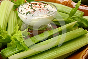 Celery and Dressing