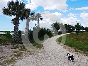 Celery Fields of Sarasota , City Park