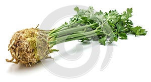 Celery