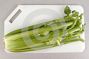 Celery Green snack