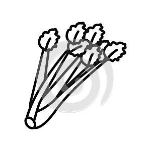 Celery icon Black line art vector logo