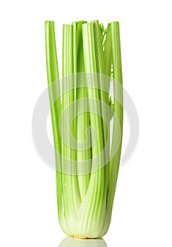 Celery isolated on white