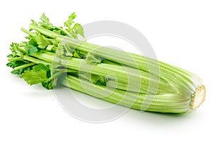 Celery isolated on white background