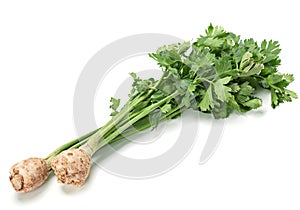 Celery with root