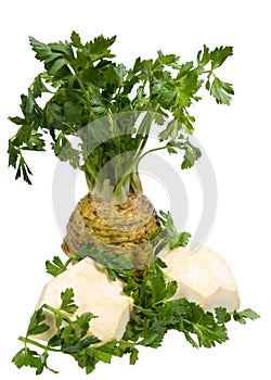 Celery Root