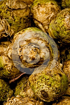 Celery Root