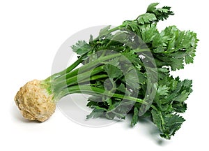Celery root with leaves