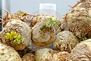 Celery roots