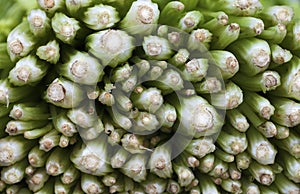 Celery for sale at a market