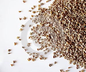 Celery seed