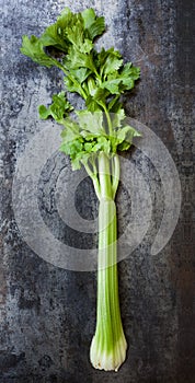 Celery on Slate Overhead View