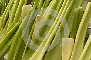 Celery stalks cut and washed