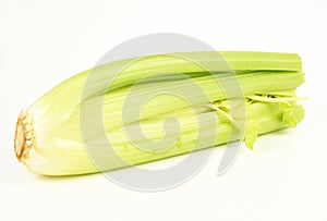 Celery stams