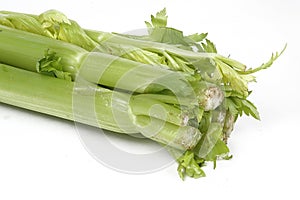 Celery Stems photo