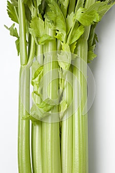 Celery stems and leaves