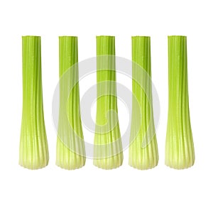 Celery Sticks