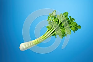Celery suspended in midair against a bright blue backdrop.