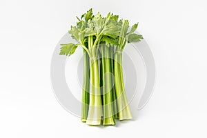 Celery on a white background