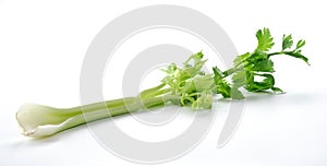 Celery on white background, product from vegetable garden