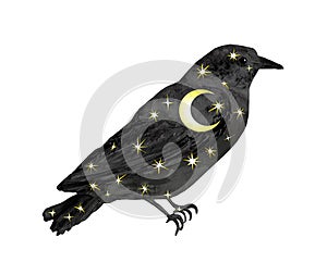 Celestial bird with stars and moon. Watercolor night black raven with space inside. Mystic design