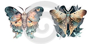 Celestial butterflies for fantasy illustrations