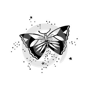 Celestial butterfly, black moth isolated element. Moth drawing illustration. Hand drawn insect. Moon vector design