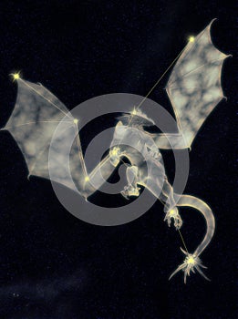 Celestial Dragon