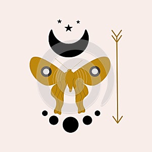 Celestial elements and butterfly illustration