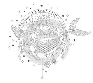 Celestial whale linear hand drawing vector illustration