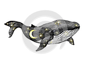 Celestial whale with stars and constellations. Watercolor cosmos design, mystical illustration for decorative space