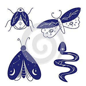 Celestical magic animals decorative vector logo set. Moth wildlife, snake symbol, tattoo graphic shape design, ethnic sketch photo