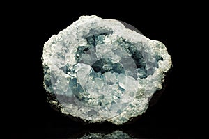 Celestine in front of Black