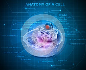 Cell anatomy background