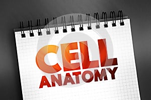 Cell anatomy - consists of three parts: the cell membrane, the nucleus, and, between the two, the cytoplasm, text on notepad, photo