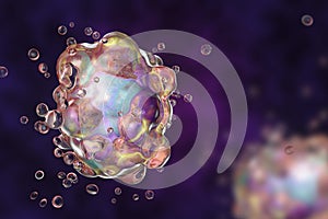 Cell apoptosis illustration