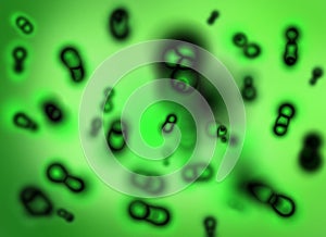 Cell/Bacteria Culture showing multiplication