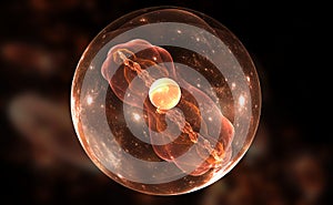 Cell, bacteria or virus