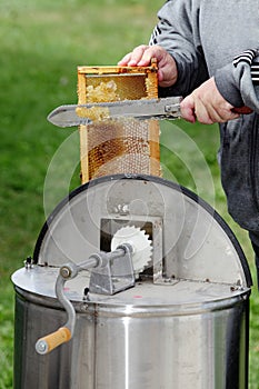 Cell caps being cut off a honey comb, and being placed in a separator during honey harvest