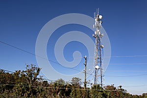 Cell Communications Tower and Power Lines Among Trees