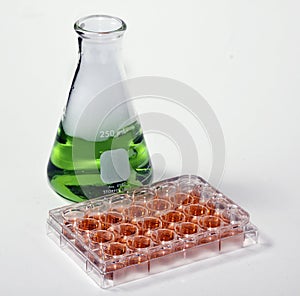 Cell culture plate and green chemicals photo