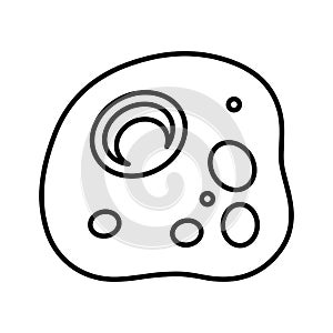 Cell, cytoplasm, eukaryote line icon. Outline vector photo