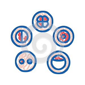 cell development icon doodle illustration