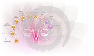 Cell development and implantation