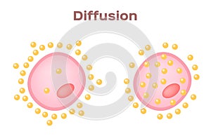 Cell diffusion vector