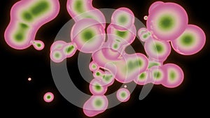 Cell division or cloning cells. Design. Abstract process of cells dividing under the microscope, concept of science and