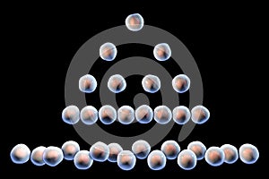 Cell division, illustration