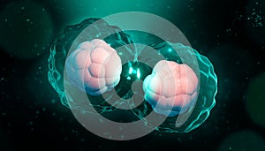 Cell division, mitosis or meiosis artisitic 3D rendering illustration. Genetic replication of cells with nucleus, membrane and photo