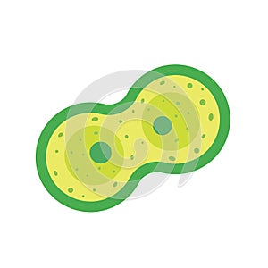 Cell division, mitosis vector illustration