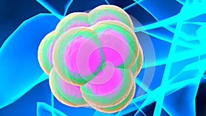 human cell division anatomy. 3d illustration