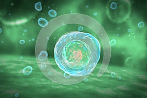 Cell Division Stages of Mitosis